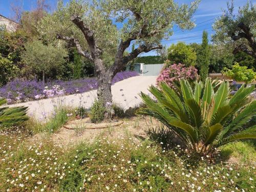 Appartement standing dans villa hauteur de Cannes
