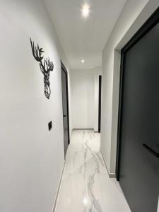 Appartement standing , pieds des 3 vallées