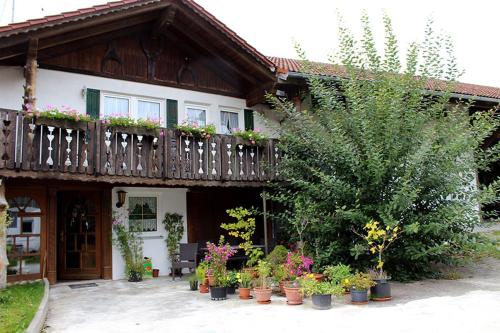 appartement-stetten