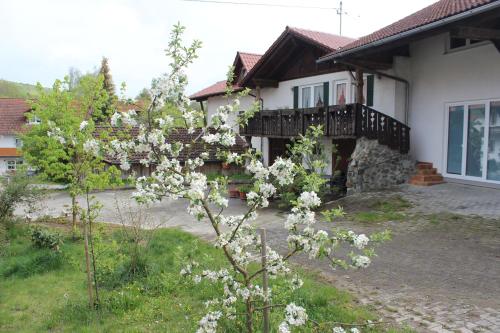 appartement-stetten