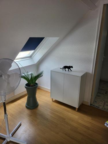 Appartement style loft en centre ville