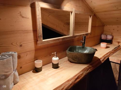 Appartement style montagne avec SPA