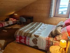 Appartement style montagne avec SPA