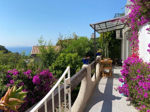 Appartement super lavandou