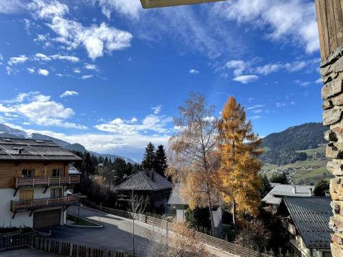 Appartement sur les pistes