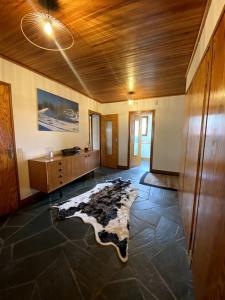 Appartement sur les pistes
