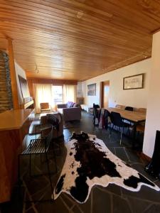 Appartement sur les pistes
