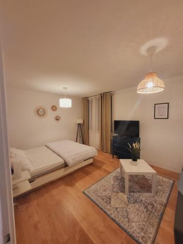 Appartement T1 bis 35m2 ANNECY proche centre ville REFAIT EN DECEMBRE 2021
