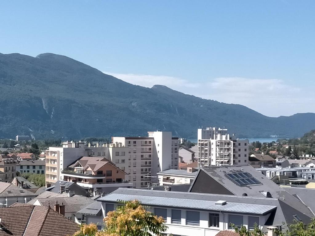 appartement T1 Château Durieux IV vue Lac 9 Boulevard des Côtes, 73100 Aix-les-Bains