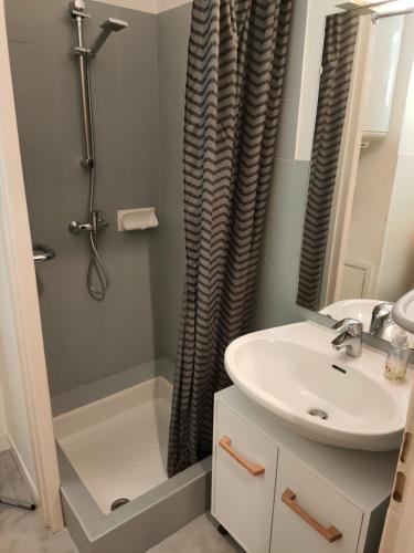 appartement T1 Château Durieux IV vue Lac