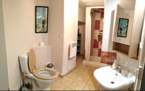 Appartement T1 quartier château de Pau