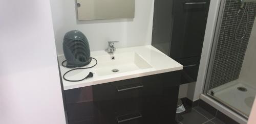 Appartement T2 45 m² en centre-ville