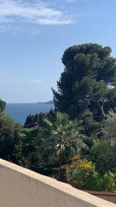 Appartement T2 avec grande terrasse vue mer