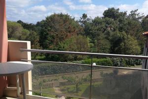 Appartement T2 avec piscine idéalement situé - aperçu mer