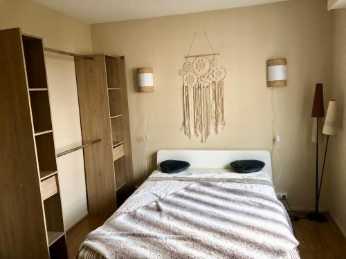 Appartement T2 cosy et refait à neuf -Tours