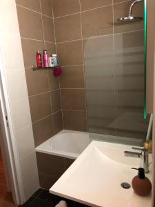 Appartement T2 cosy et refait à neuf -Tours
