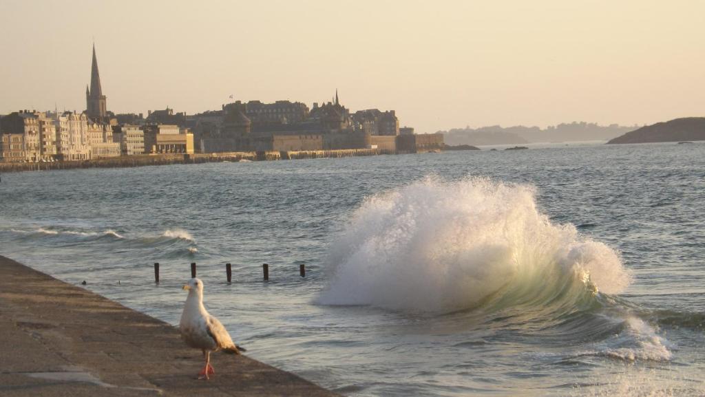 Appartement T2 ,parking privé,terrasse, 10 mns à pieds de la cité corsaire et ses plages 36 Rue Alphonse Thébault, 35400 Saint-Malo