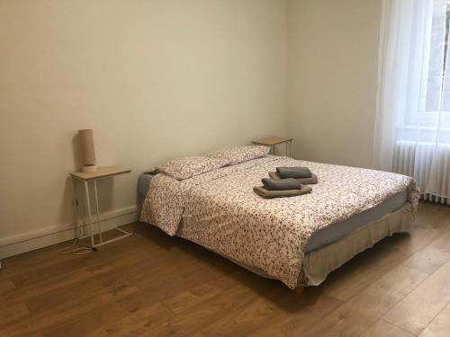 Appartement T2 proche gare - DABNB