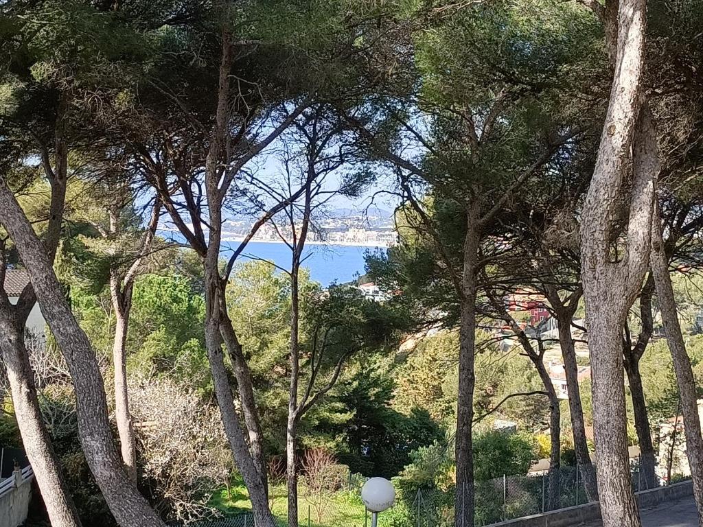 Appartement Appartement T2 Sanary sur mer 1012 Chemin de Bacchus 83110 Sanary-sur-Mer