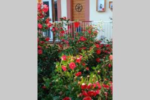 Appartement T2 situé à Marcadieu