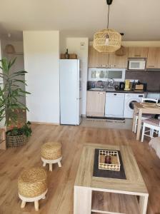 Appartement T2 sur Mauguio avec grande terrasse