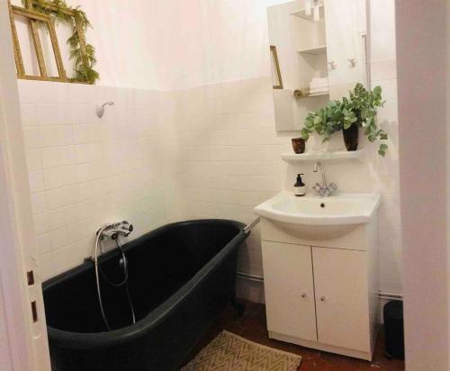 APPARTEMENT T3 DE CHARME PLEIN CENTRE