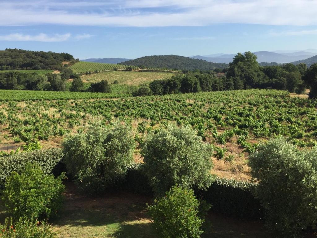 Appartement T3 - résidence de standing vue vignes 45 Chemin du Gourbenet, 83420 La Croix-Valmer