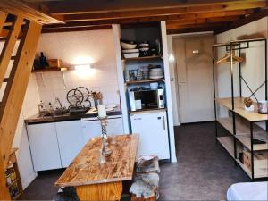 Appartement T3 Saint Lary-Soulan; Vielle-Aure