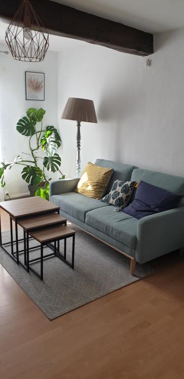 Appartement t3 vue MONTAGNE 16 AVENUE PAUL BERDOT, 09310 Sinsat