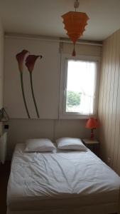 Appartement T3 Vue sur mer
