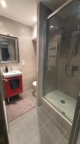 Appartement -Thionville centre
