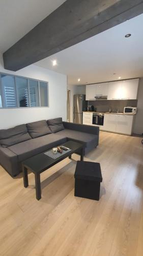 Appartement Appartement -Thionville centre 1er étage, appartement 1 14 Rue Brûlée 57100 Thionville Lorraine
