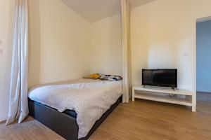 Appartement Toit terrasse Castelsarrasin