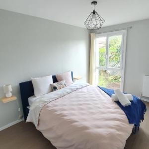 Appartement Toulouse Blagnac Aéroport IUT Parking Proche de toutes commodités Belle terrasse Netflix