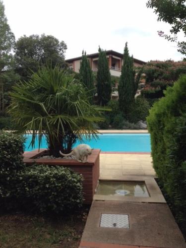 Appartement Toulouse-Tournefeuille Calme et Verdoyant