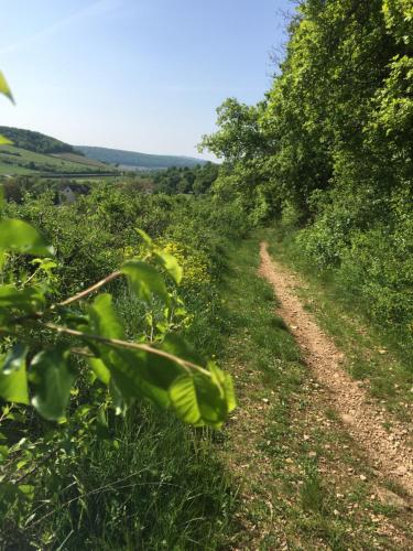 Appartement tout confort et spacieux en campagne bourguignonne