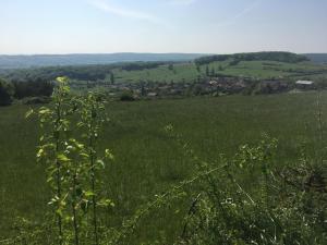 Appartement tout confort et spacieux en campagne bourguignonne
