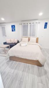 Appartement très lumineux