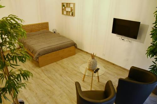 Appartement Tropical et JACUZZI Balnéothérapie Draveil