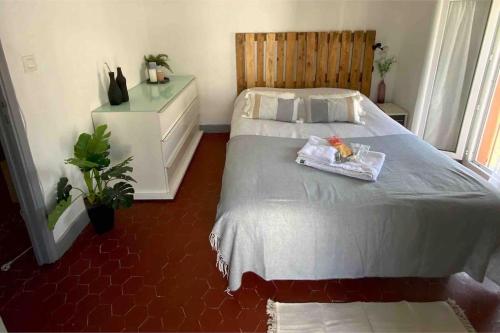 Appartement typique Niçois en plein centre ville