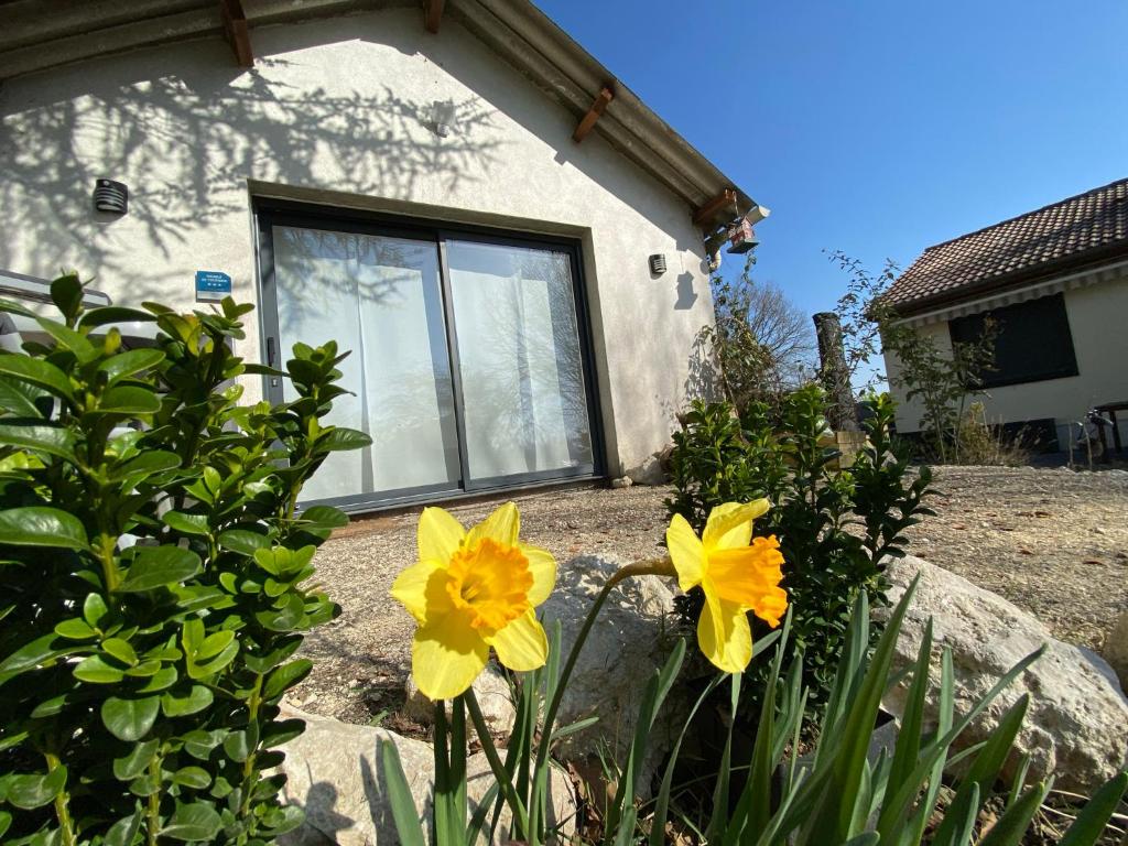 Appartement Val-d'Isère, 2 pièces, 5 personnes - FR-1-694-182