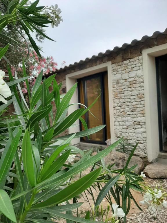 Appartement Val-d'Isère, 3 pièces, 5 personnes - FR-1-694-48
