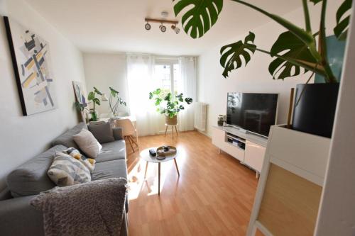 Appartement Vannes Haut de Gamme