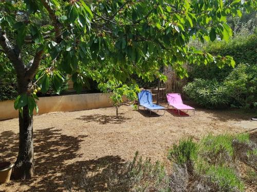 Appartement Vendres, 3 pièces, 7 personnes - FR-1-701-52
