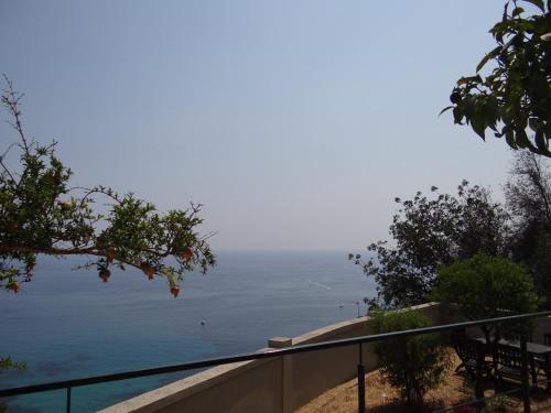 Appartement Villa Belle Epoque Roquebrune Cap Martin