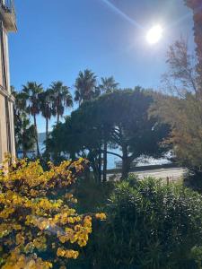 Appartement Villa Tamaris, vue mer