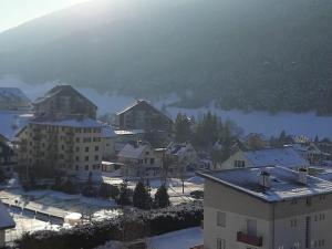 Appartement Villard-de-Lans, 2 pièces, 6 personnes - FR-1-515-152