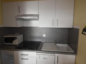 Appartement Villard-de-Lans, 2 pièces, 6 personnes - FR-1-689-45