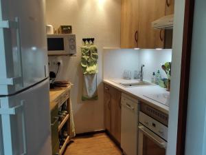 Appartement Villard-de-Lans, 3 pièces, 6 personnes - FR-1-689-105