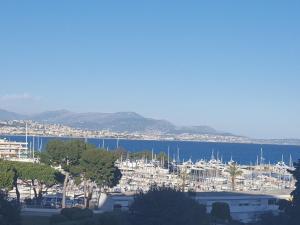 Appartement Villeneuve-Loubet, 1 pièce, 2 personnes - FR-1-252A-35